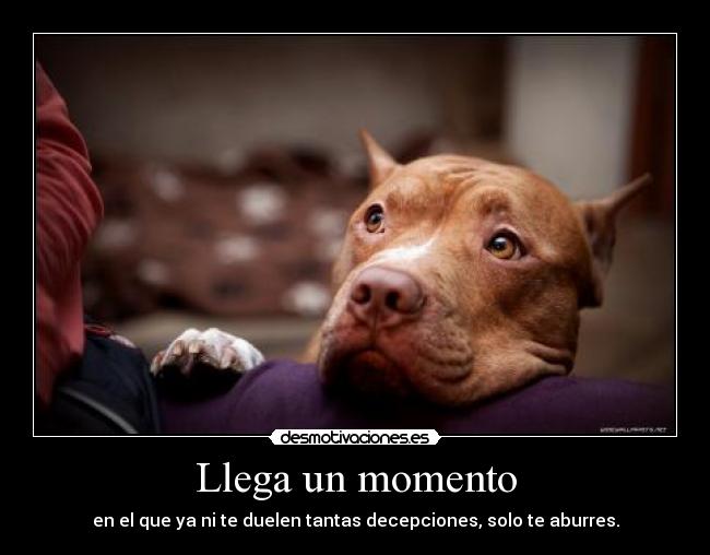 Llega un momento - en el que ya ni te duelen tantas decepciones, solo te aburres.