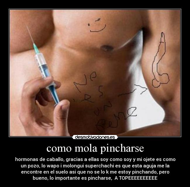 como mola pincharse - hormonas de caballo, gracias a ellas soy como soy y mi ojete es como
un pozo, lo wapo i molongui superchachi es que esta aguja me la
encontre en el suelo asi que no se lo k me estoy pinchando, pero
bueno, lo importante es pincharse, A TOPEEEEEEEEEE