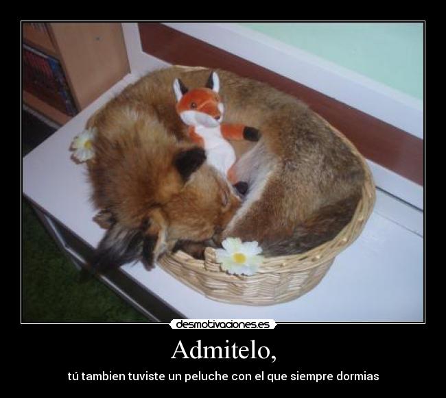 Admitelo, -