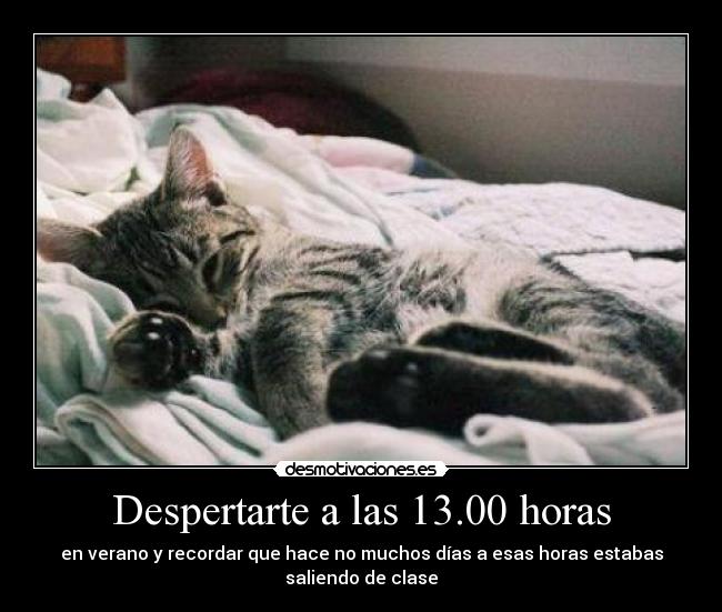 Despertarte a las 13.00 horas - 