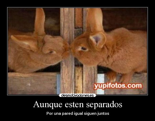 Aunque esten separados - 