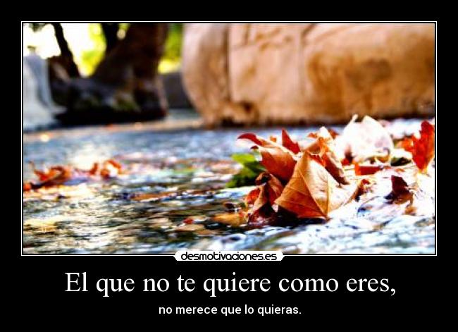 El que no te quiere como eres, - no merece que lo quieras.