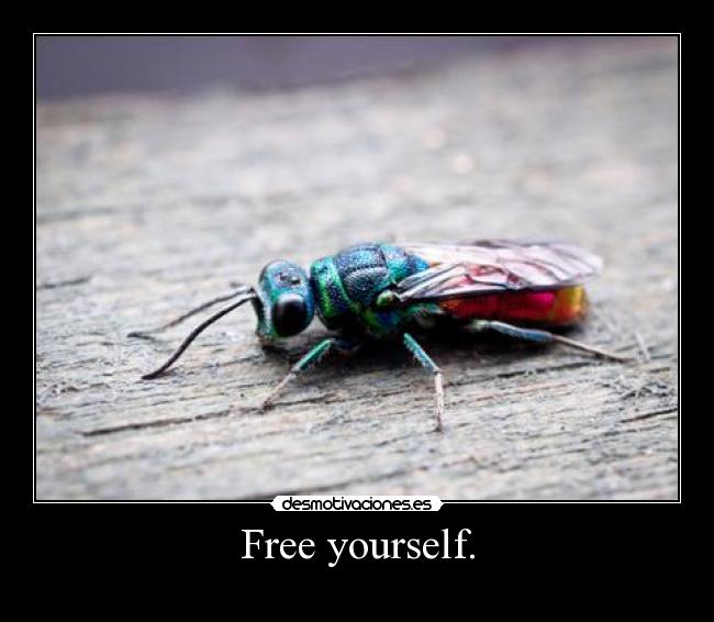 Free yourself. - 