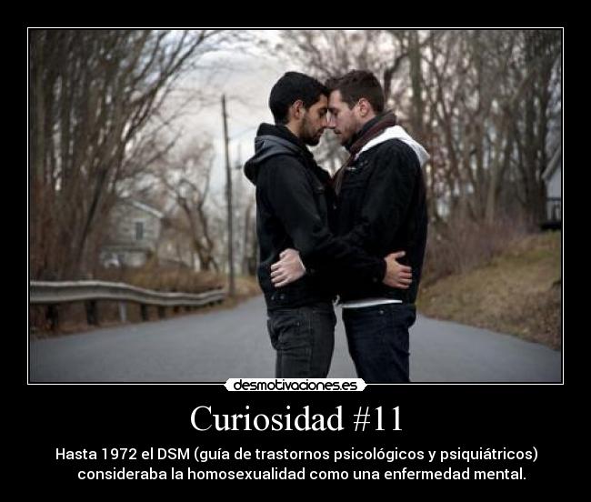 Curiosidad #11 -