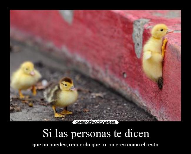 Si las personas te dicen - que no puedes, recuerda que tu  no eres como el resto.