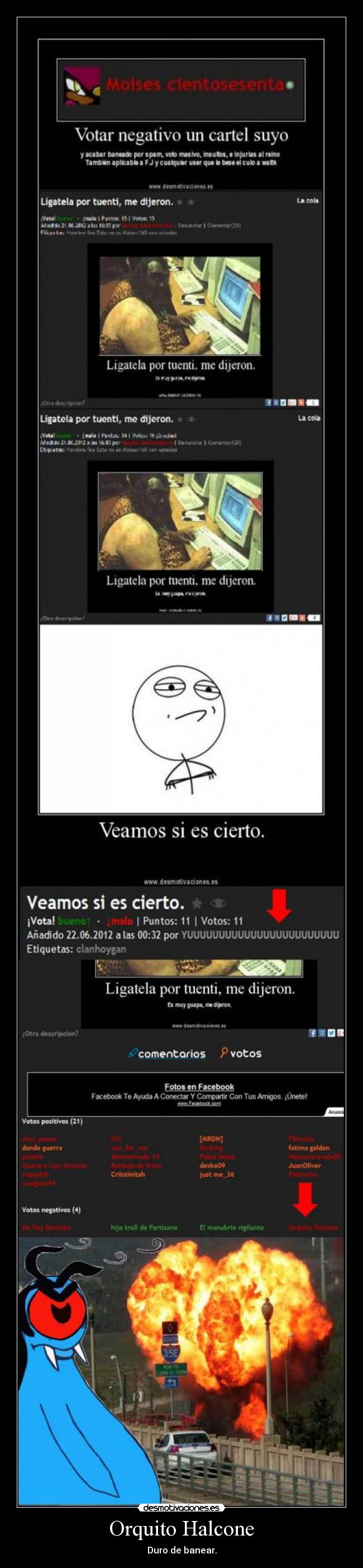 Orquito Halcone - Duro de banear.