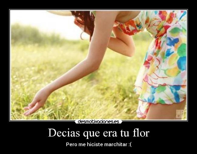 carteles flor desmotivaciones