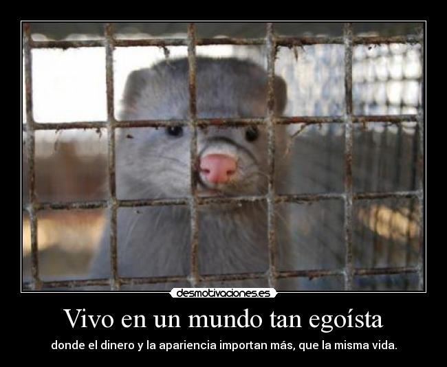 Vivo en un mundo tan egoísta -