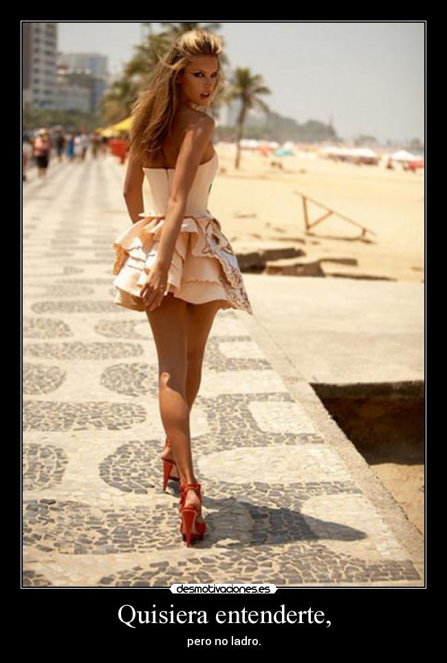 Quisiera entenderte, - pero no ladro.