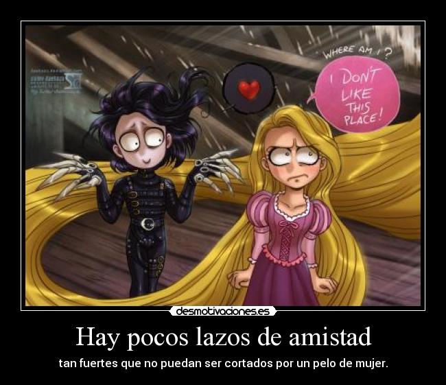 Hay pocos lazos de amistad -