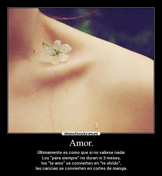 Amor. - Últimamente es como que si no valiese nada:
Los para siempre no duran ni 3 meses,
los te amo se convierten en te olvido,
las caricias se convierten en cortes de manga.