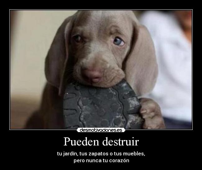 Pueden destruir -