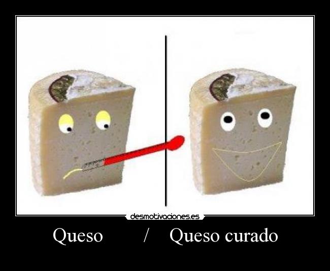 Queso / Queso curado -