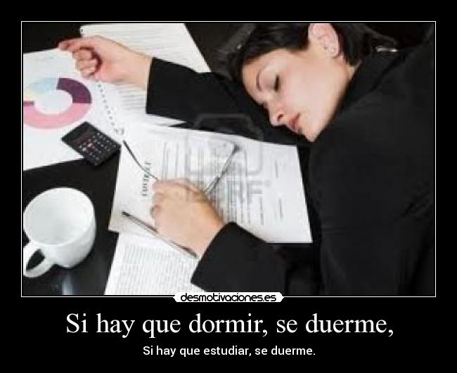 Si hay que dormir, se duerme, - Si hay que estudiar, se duerme.