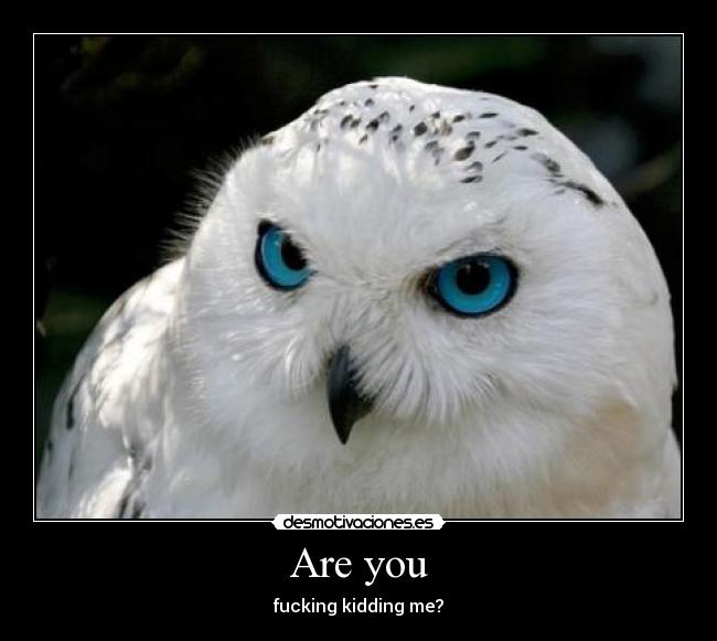 Are you - fucking kidding me?