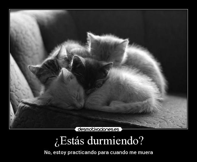 ¿Estás durmiendo? -