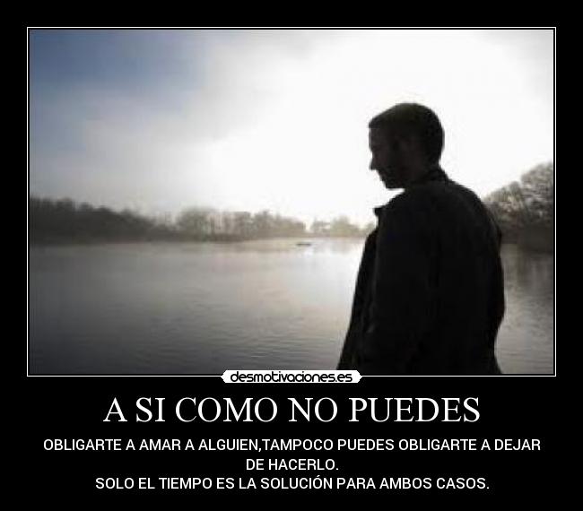 A SI COMO NO PUEDES - OBLIGARTE A AMAR A ALGUIEN,TAMPOCO PUEDES OBLIGARTE A DEJAR
DE HACERLO.
SOLO EL TIEMPO ES LA SOLUCIÓN PARA AMBOS CASOS.