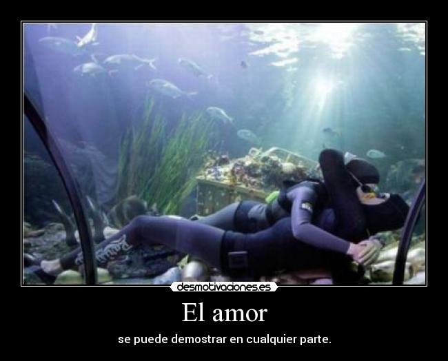 El amor - 