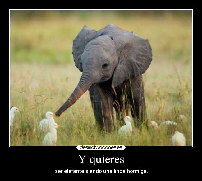 carteles sin sentido chupa limon fuiste tu quieres ver lolololol has seguido mis andares desmotivaciones