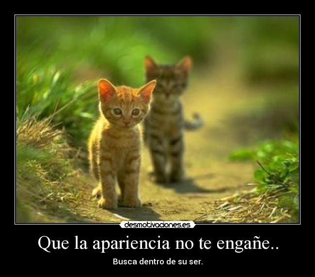 Que la apariencia no te engañe.. - Busca dentro de su ser.