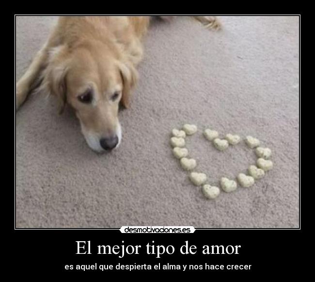 El mejor tipo de amor - es aquel que despierta el alma y nos hace crecer