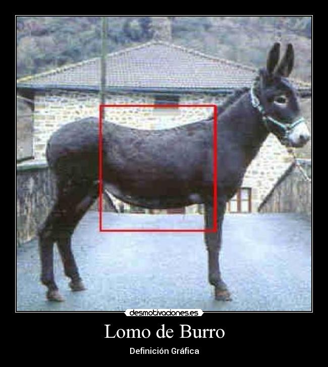 Lomo de Burro - 