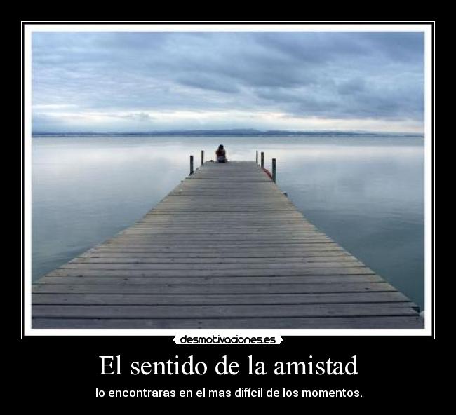 El sentido de la amistad -