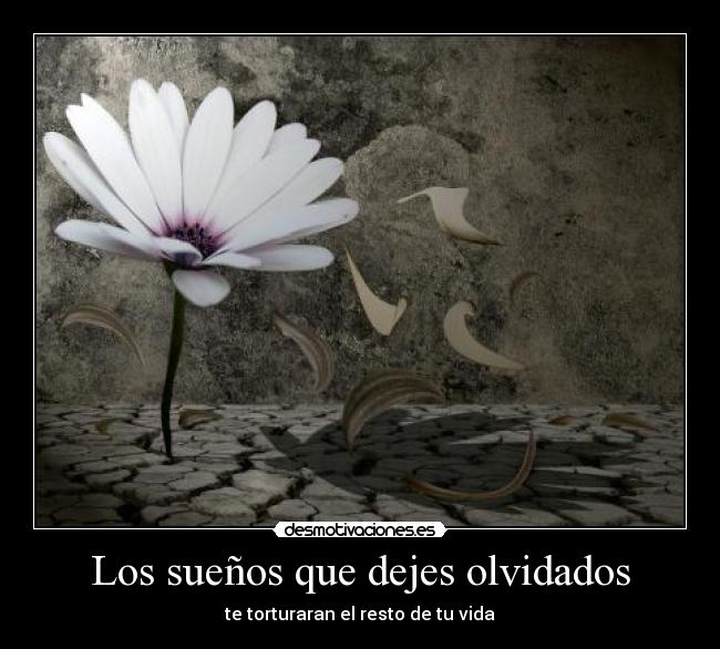 Los sueños que dejes olvidados - te torturaran el resto de tu vida