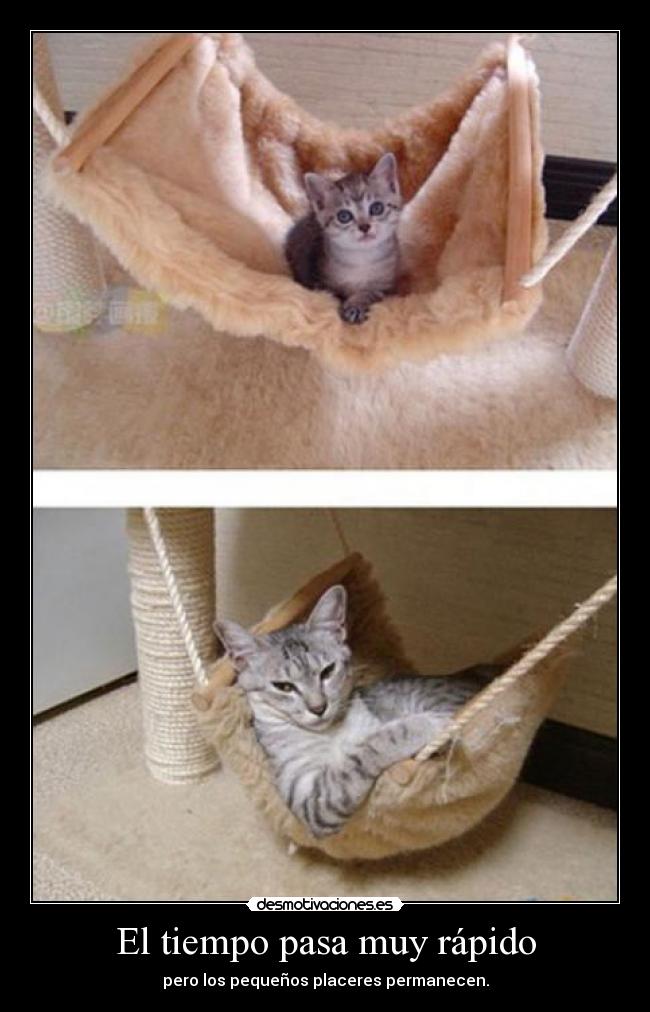 El tiempo pasa muy rápido - pero los pequeños placeres permanecen.