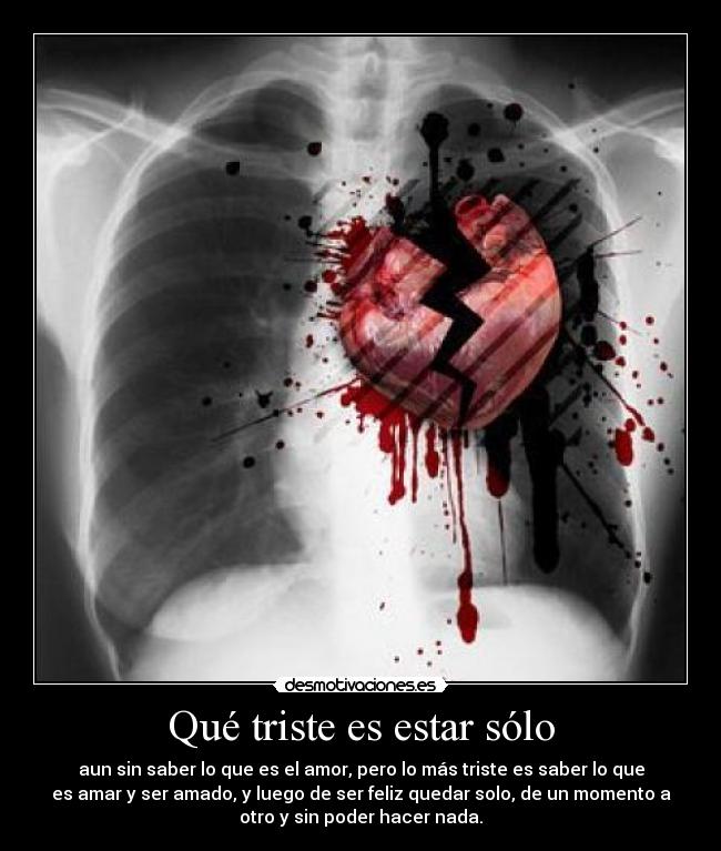 Qué triste es estar sólo - aun sin saber lo que es el amor, pero lo más triste es saber lo que
es amar y ser amado, y luego de ser feliz quedar solo, de un momento a
otro y sin poder hacer nada.