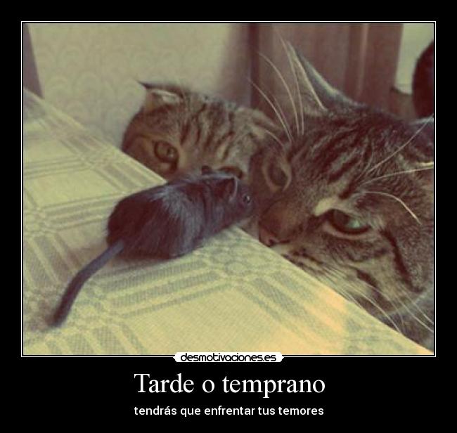 Tarde o temprano - tendrás que enfrentar tus temores