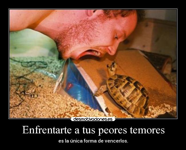Enfrentarte a tus peores temores - es la única forma de vencerlos.