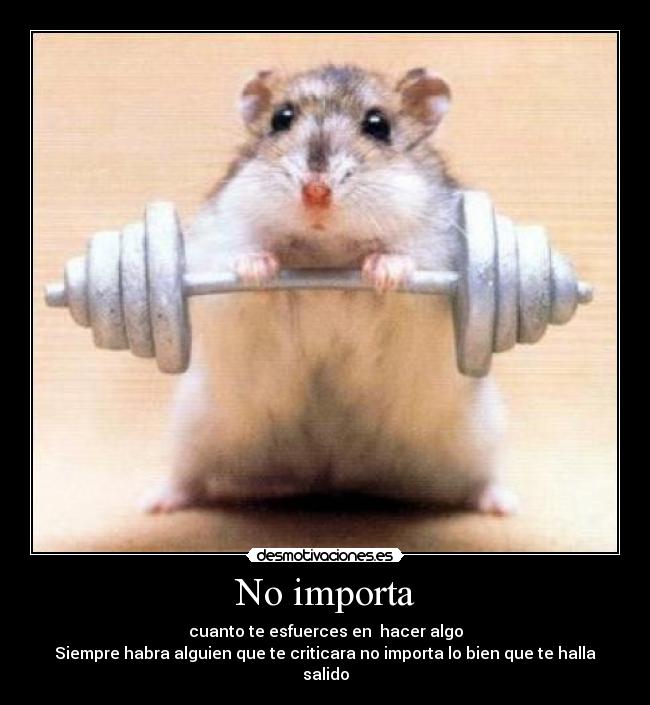 No importa - 