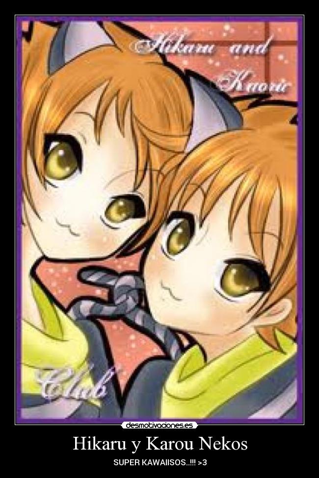 Hikaru y Karou Nekos -