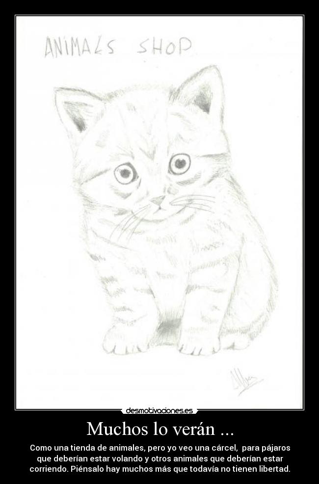 Muchos lo verán ... -