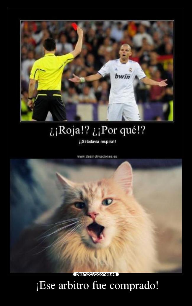 carteles quien ganara eurocopa digan comentarios resubido por error plagio clanhappy desmotivaciones