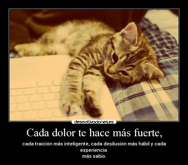 Cada dolor te hace más fuerte, - cada traición más inteligente, cada desilusión más hábil y cada experiencia 
más sabio.