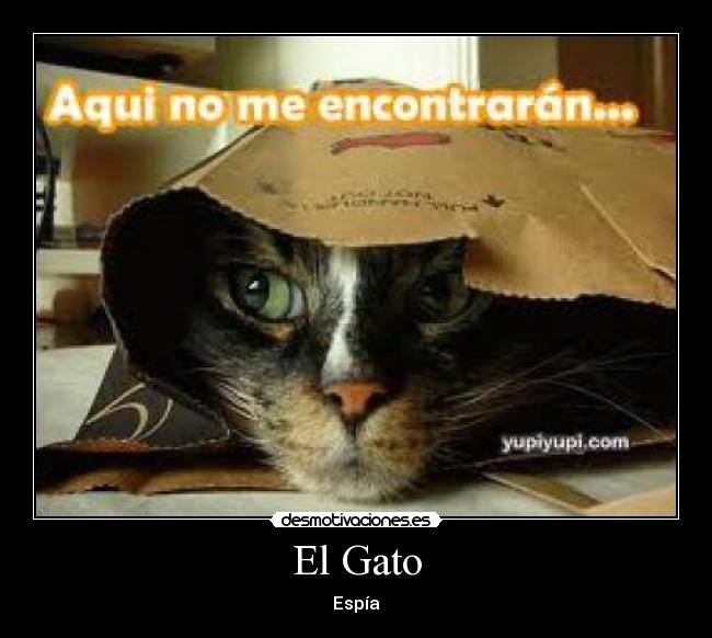 El Gato - Espía