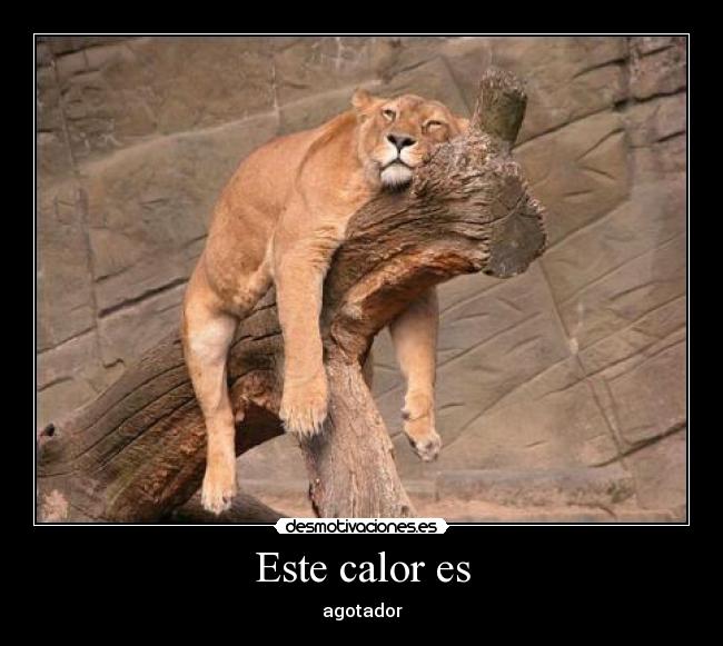 carteles cosas del verano desmotivaciones