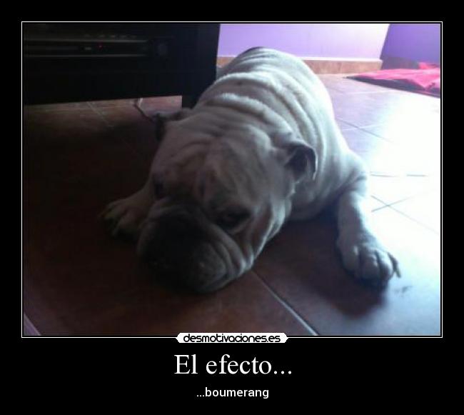 El efecto... - ...boumerang