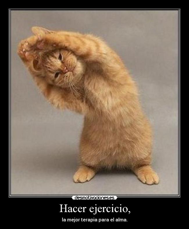 Hacer ejercicio, -