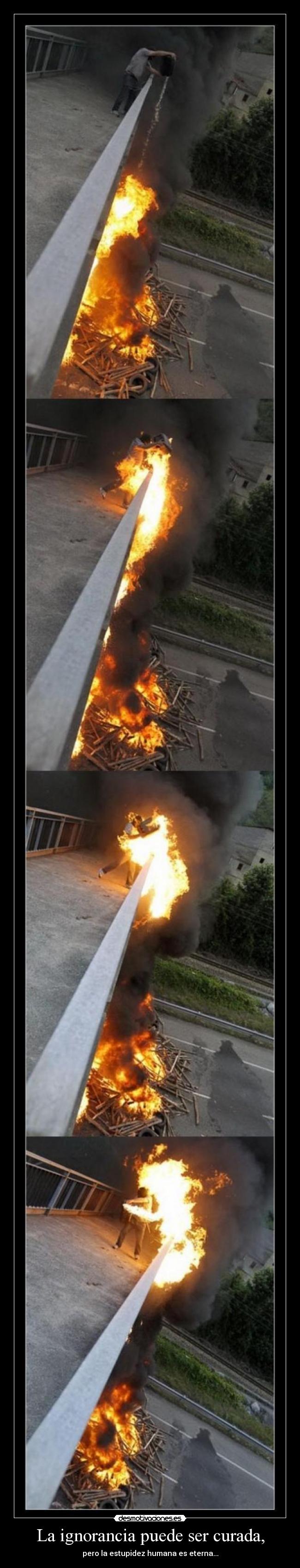 La ignorancia puede ser curada, - pero la estupidez humana es eterna...