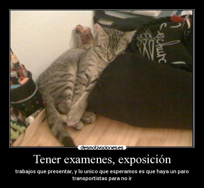 Tener examenes, exposición - trabajos que presentar, y lo unico que esperamos es que haya un paro
transportistas para no ir