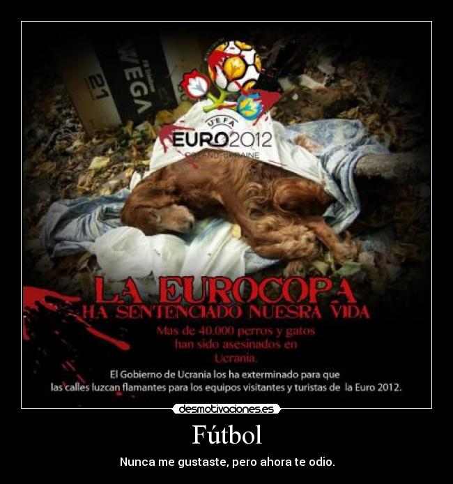 Fútbol - Nunca me gustaste, pero ahora te odio.