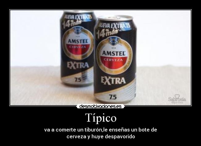 Típico - va a comerte un tiburón,le enseñas un bote de
cerveza y huye despavorido