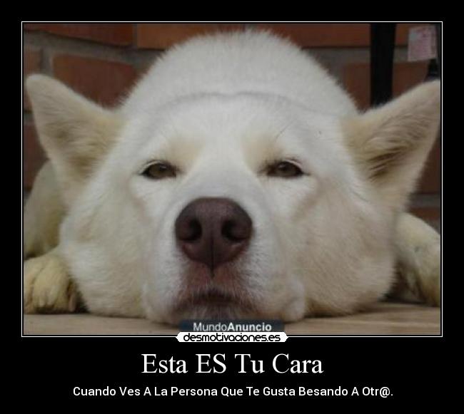 Esta ES Tu Cara - 