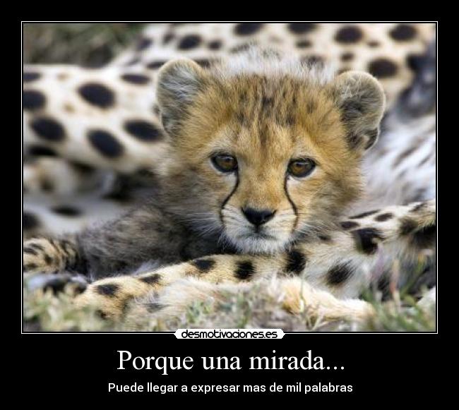 Porque una mirada... - 