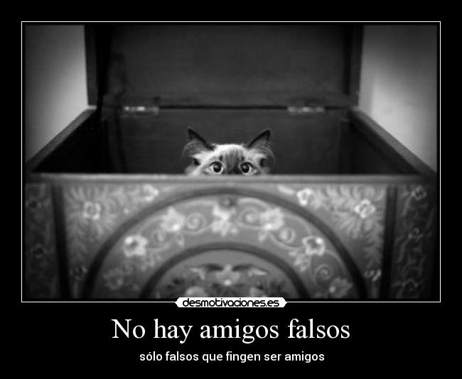 No hay amigos falsos - sólo falsos que fingen ser amigos