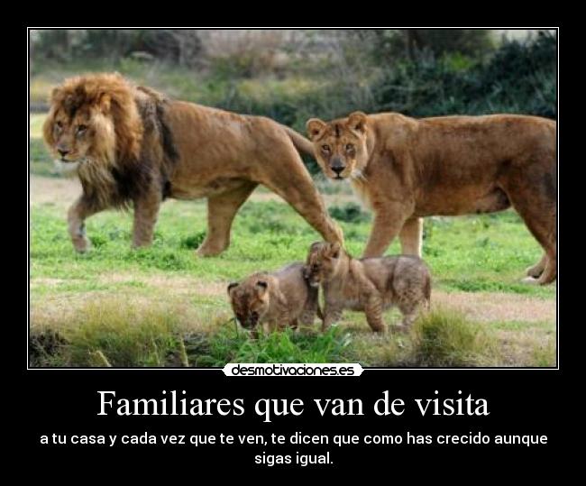 Familiares que van de visita - 