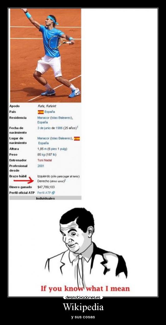 Wikipedia - y sus cosas